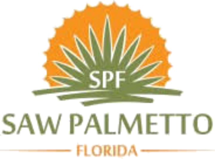 Saw Palmetto Florida